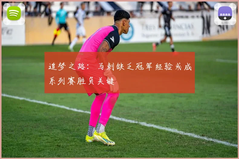 追梦之路：马刺缺乏冠军经验或成系列赛胜负关键