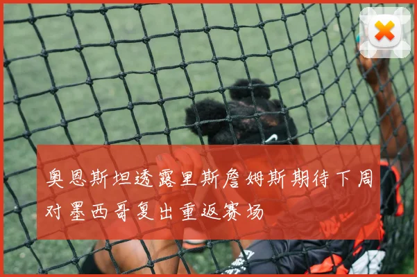 奥恩斯坦透露里斯詹姆斯期待下周对墨西哥复出重返赛场