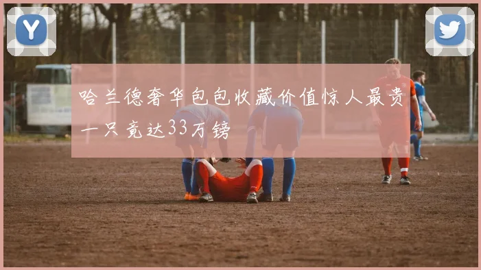 哈兰德奢华包包收藏价值惊人最贵一只竟达33万镑